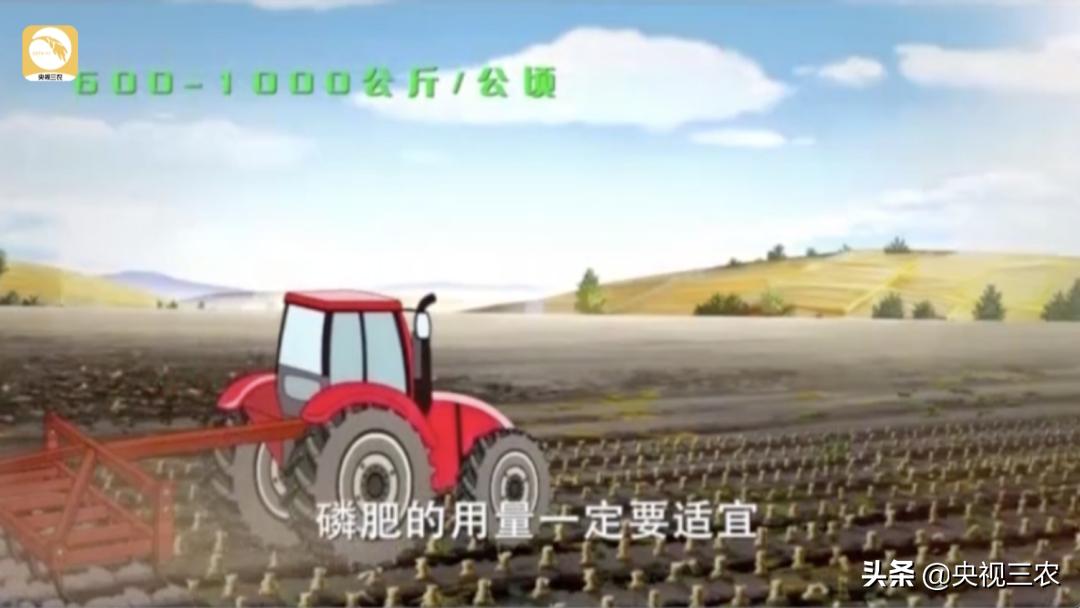 奶牛不孕症最佳治疗方法,奶牛受胎率低什么原因