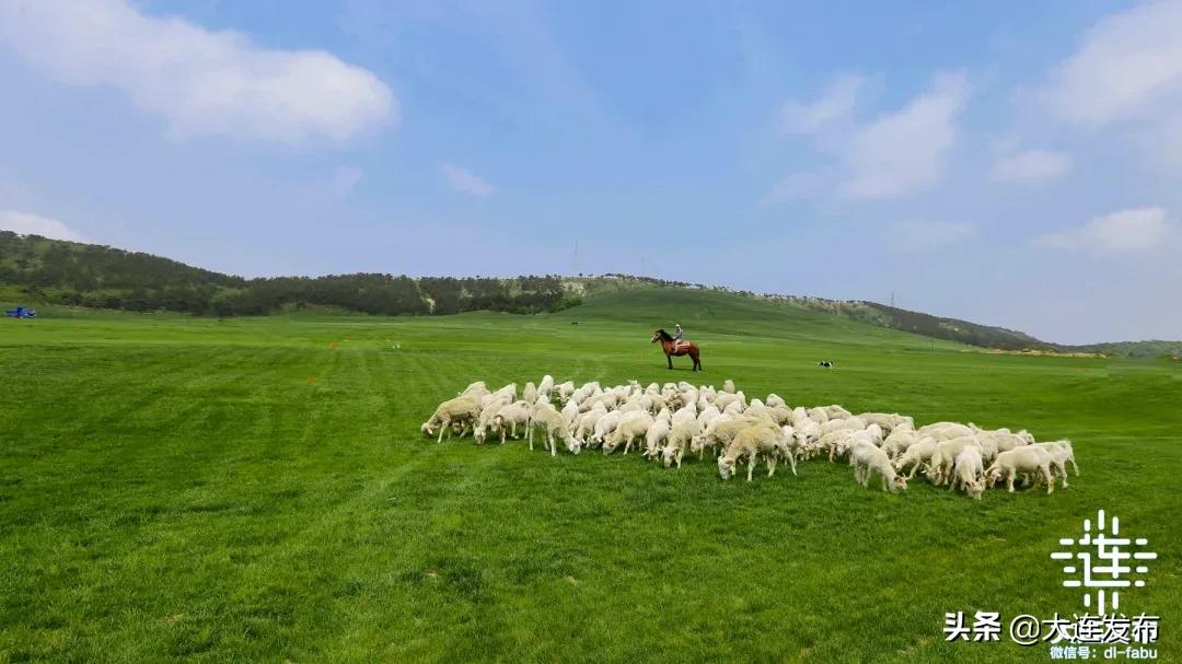 一个极美的露营地,槐之乡露营地