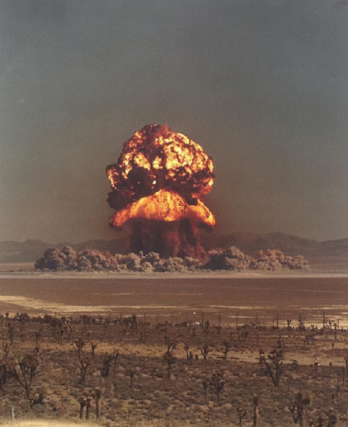 1954年，犹太人把浓缩铀卖给中国，周总理下令：验明真伪