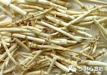 中药药材大全及功效,补肾中药大全及功效