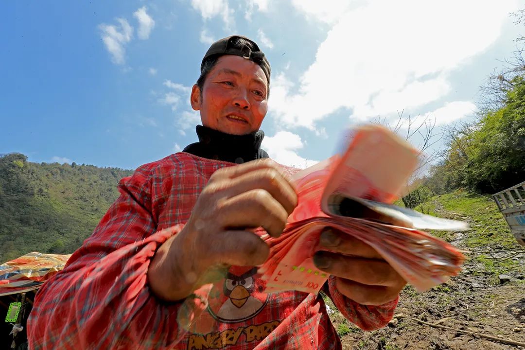 四月天山上春笋鲜,人间四月天春笋鲜