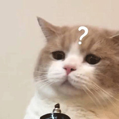 身上长痘、哮喘鼻炎可能都是螨虫惹的祸！除螨用这招，螨虫死光光