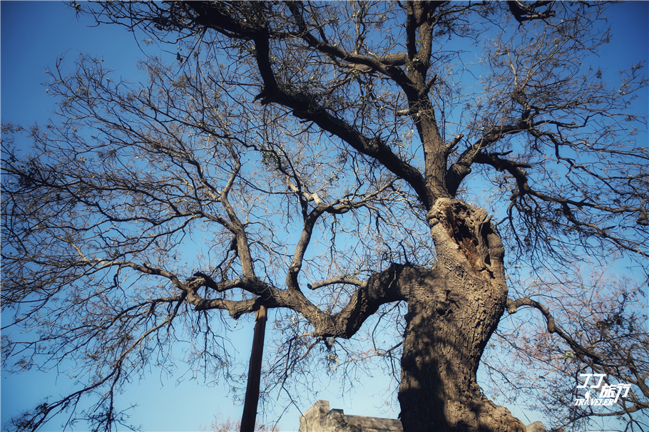 真实的清朝县衙,清朝衙门是什么级别