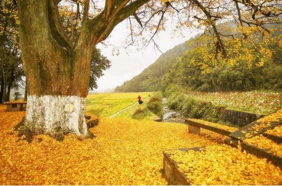 来义乌十几年没发现景色这么美,义乌值得去的自然景点