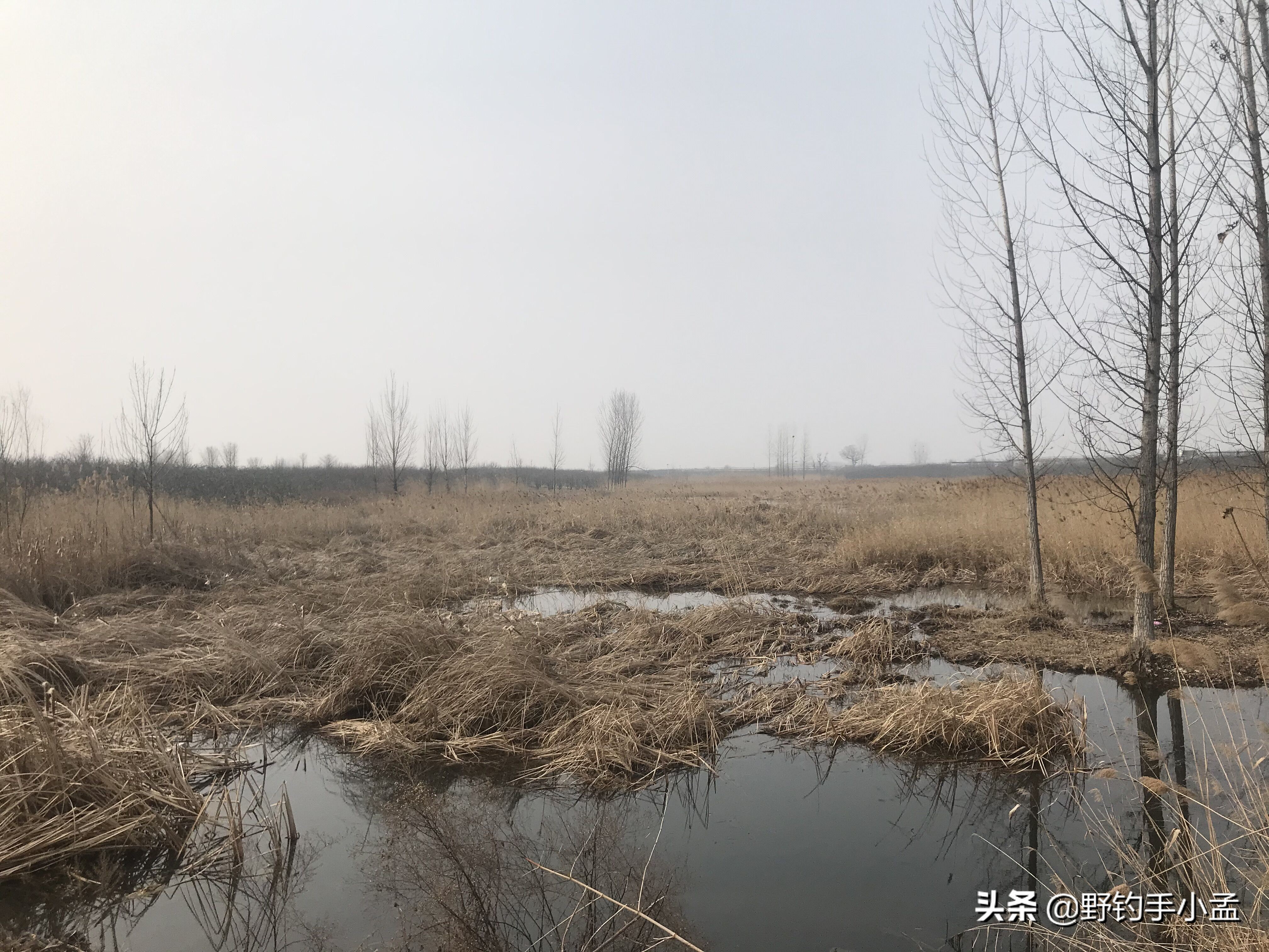 阴雨天钓鱼抛竿技巧图解,野钓大风天怎么抛竿快呢