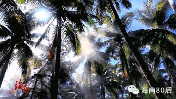 海南白沙县最美乡村,中国琼中最美乡村