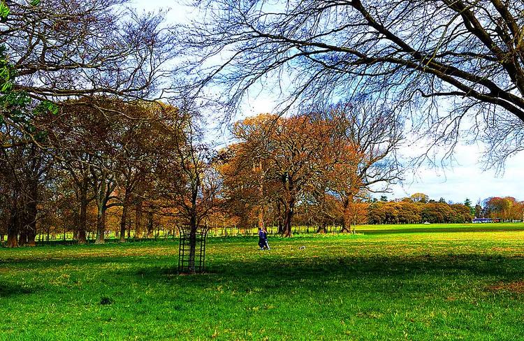 游凤凰古城游记,游凤凰古城旅游攻略三日游
