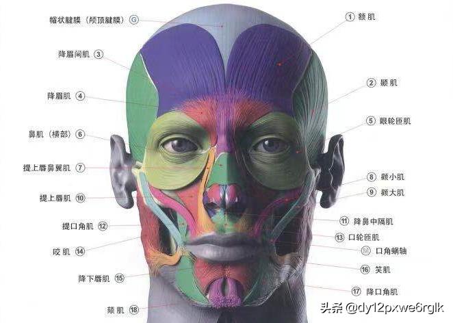 拉皮术除皱是怎么做的,拉皮除皱术怎么样有啥副作用吗