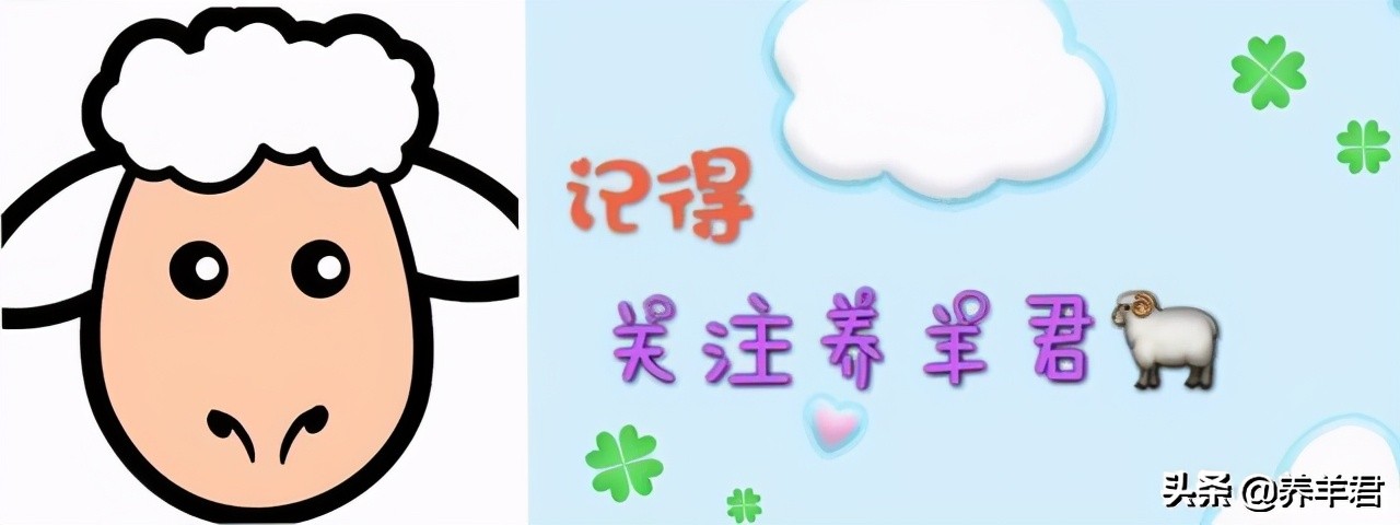 母羊生日两天了胎衣不下怎么解决,母羊胎衣有可能一个多星期不下吗