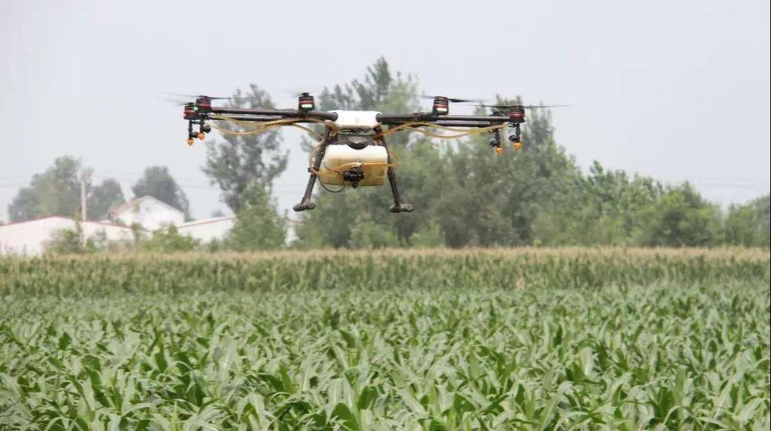 飞防高浓度,飞防7天效果