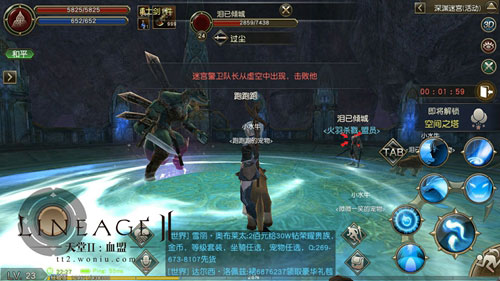 天堂2血盟是手机游戏吗,天堂2手游血盟技能