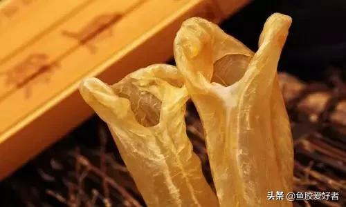 花胶最佳配方和价格,花胶应该怎样挑选