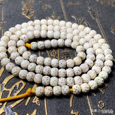 星月菩提一般几个籽,星月菩提只要是真的就可以玩