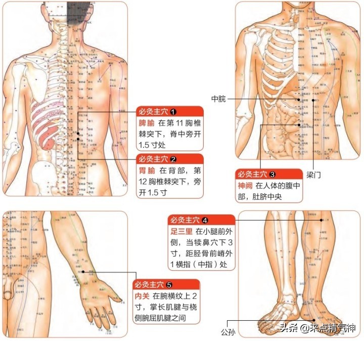 胃脘痛艾灸法图片,胃脘痛艾灸治疗护理操作视频