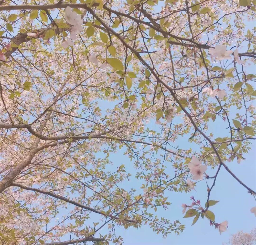 儿童喜欢黄颜色心理,孩子喜欢颜色代表什么类型的性格