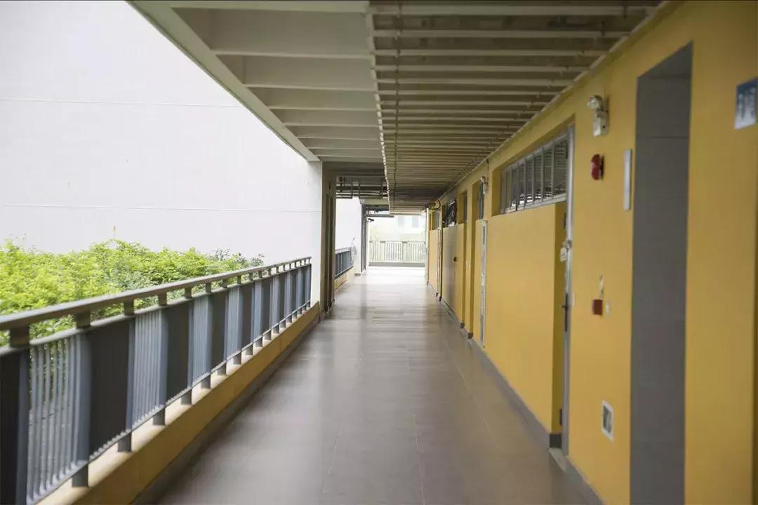 深圳这所大学也太安逸了!