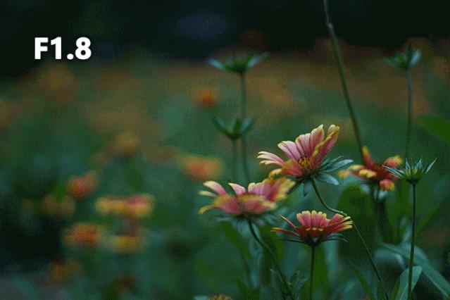 光圈深度解析视频,光圈模糊知识大全