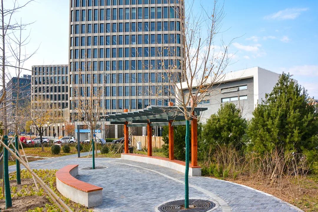 春意盎然北京五大公园,北京区级综合性公园