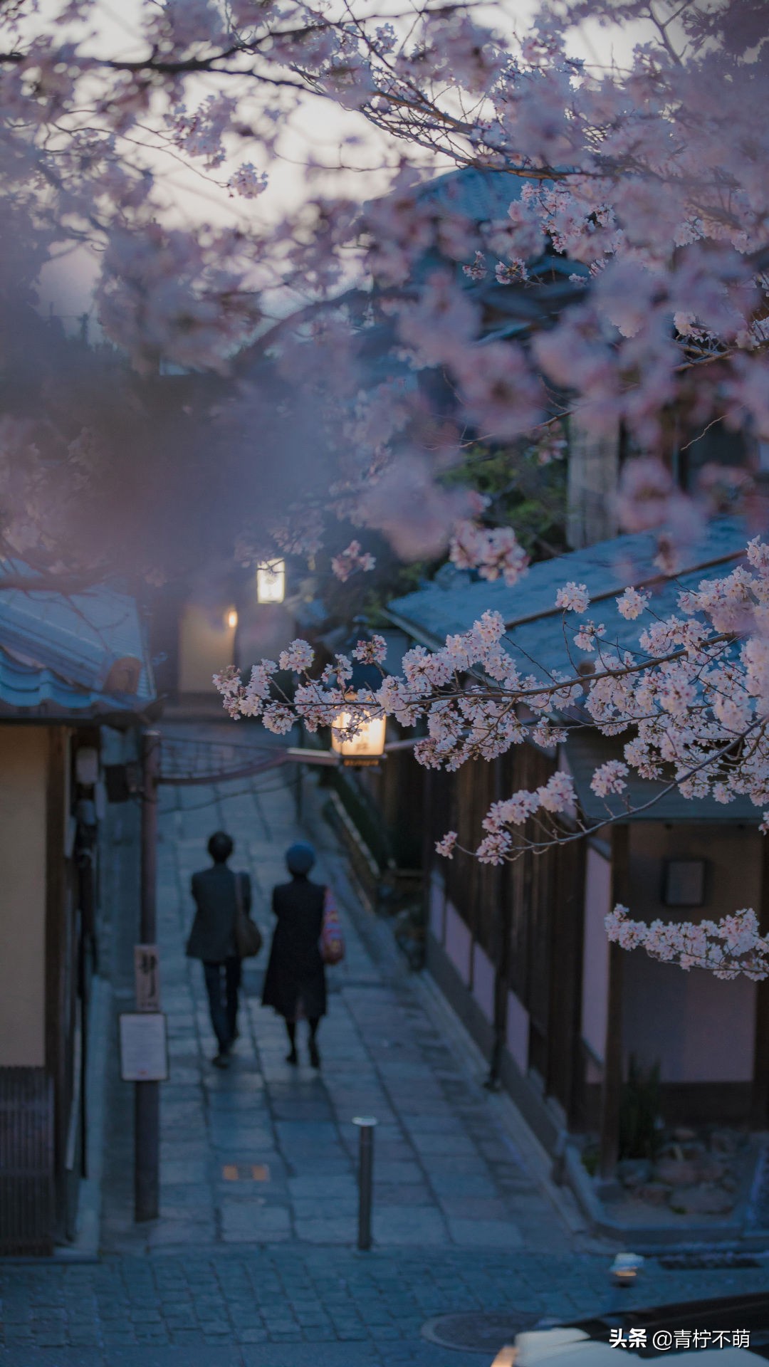 苹果13原装高清壁纸4k全屏无水印,4k超清壁纸1080p无水印全屏苹果