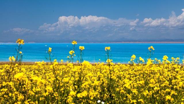 夏季避暑胜地青海3天2夜游玩攻略,青海十大夏季避暑旅游景点