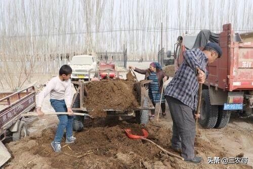 八个适宜在农村创业致富的项目,适合农村做的项目投资少见效快