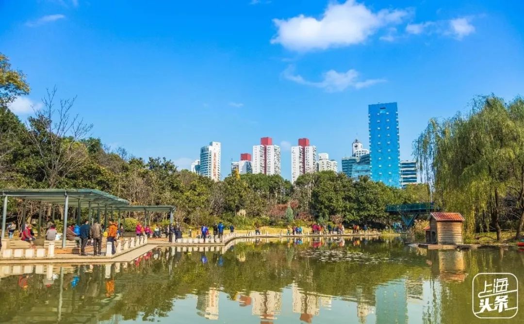 上海全部游玩,上海一日游景点推荐最全攻略