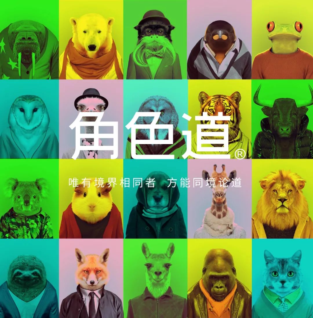 双庆品牌杂志“玩美”升级