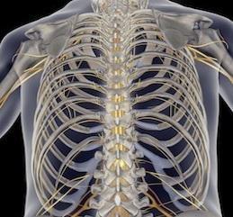 带你了解身边那些事,带你了解什么是康复