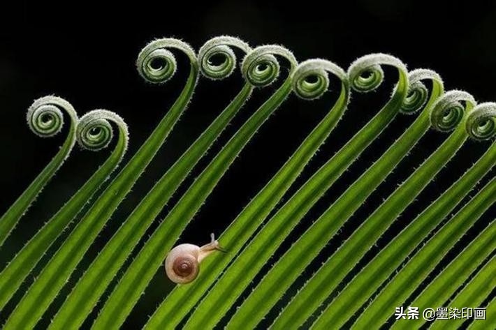发现身边的旋律,发现身边自然之美