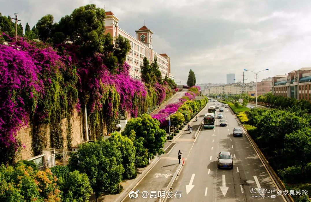 被大理丽江掩盖风头又怎样？它才是云南No.1！5月它太美了