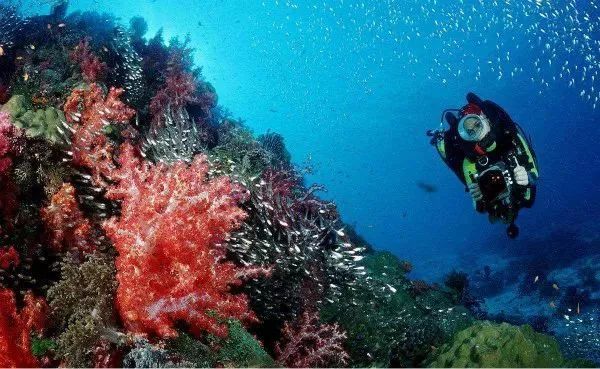 酷潜潜水普吉岛,普吉岛潜水不会游泳可以潜吗