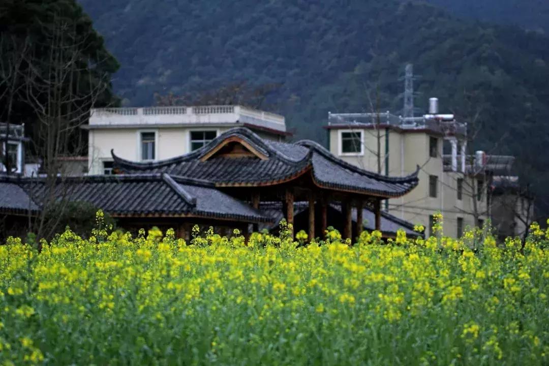 景德镇陶瓷入门怎样选择,景德镇怎么选瓷器