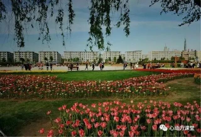 社交恐惧症自述100例,社交恐惧和社交恐惧症的区别