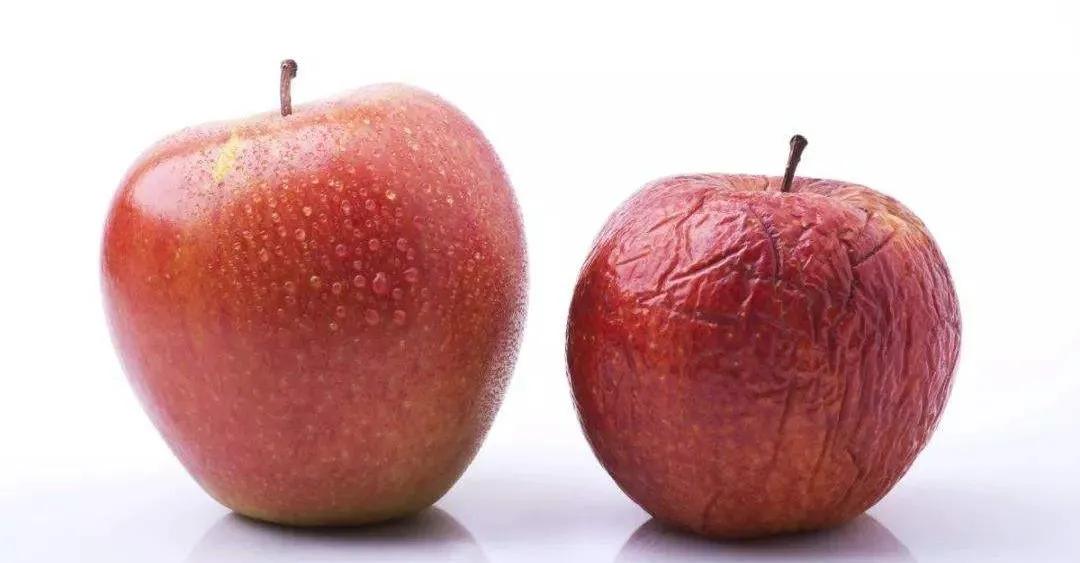 涂一次嫩一天，70年老国货里挖到的宝贝面霜，不停产就偷着笑吧