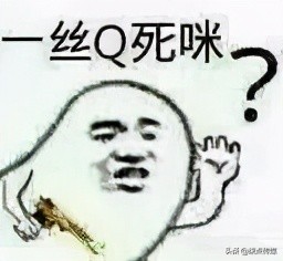 香奈儿图片引发的事件,香奈儿对抄袭的态度