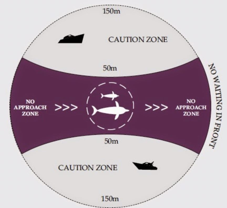 性骚扰、抓小偷……这些年我们在海外旅游都经历了啥？