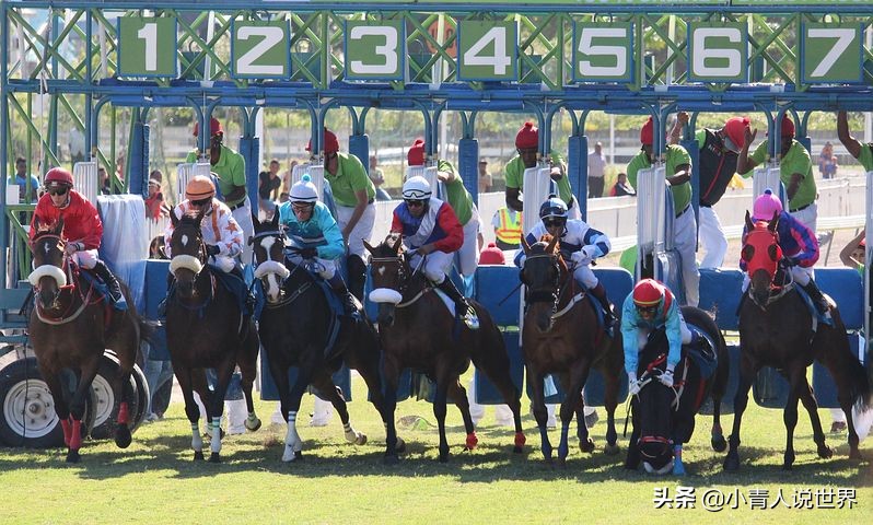 非洲的毛里求斯几乎没有疟疾，毛里求斯小岛是个怎样的国家