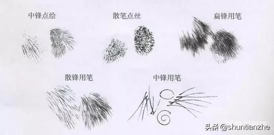 工笔老虎技法教学视频,工笔老虎胸毛的撕毛法