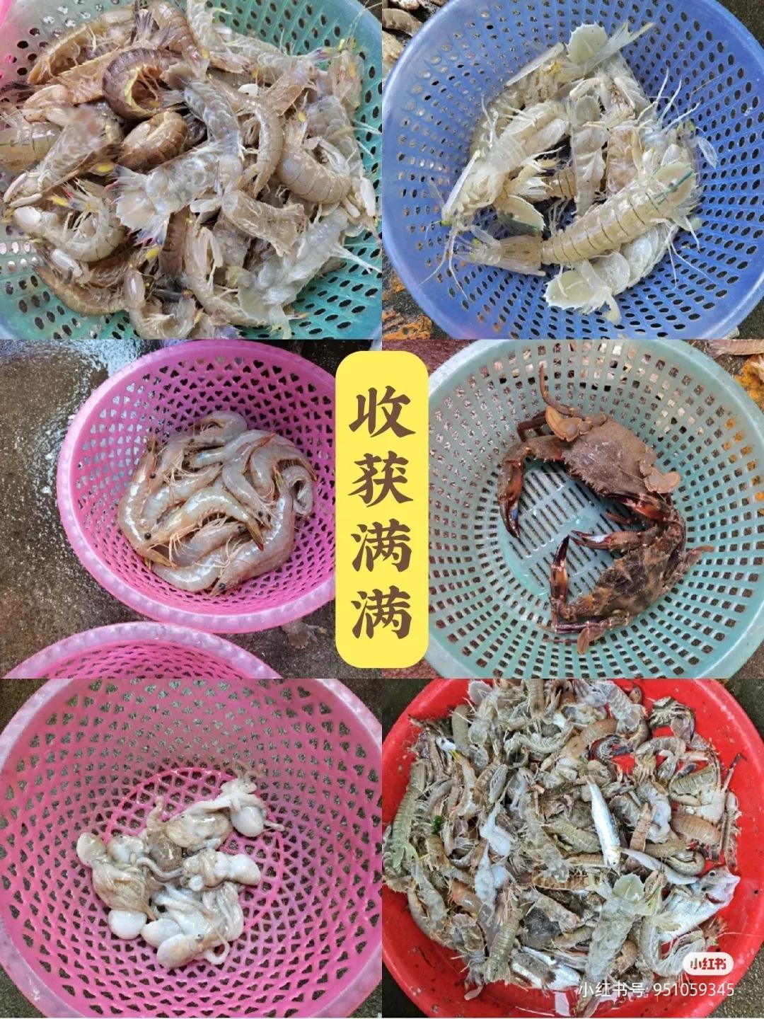 枸杞岛东方小希腊素材,被称东方小希腊风光无限的枸杞岛