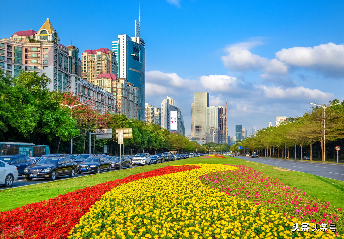 深圳龙华中学教师待遇,深圳中学教师待遇为什么高