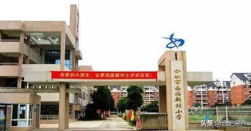 合肥性价比最高的小学学区房,合肥市十大中小学开学时间