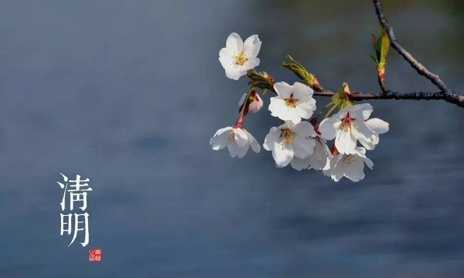 有关清明节的古诗词集锦,清明节古诗词及名句