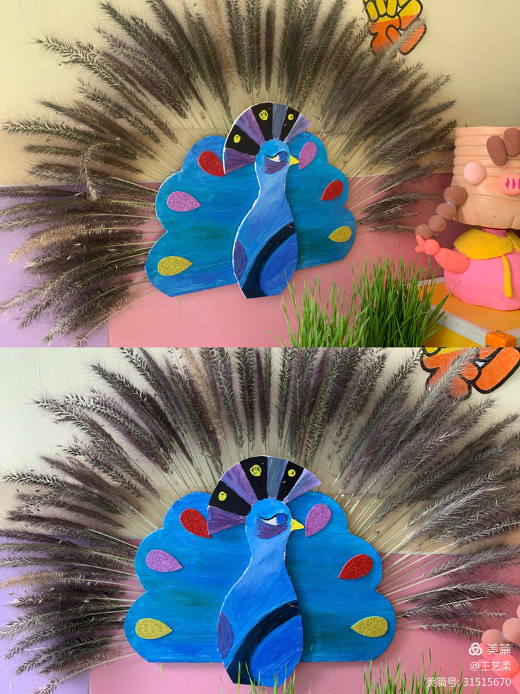 幼儿园自然角全景创设,幼儿园自然角的创设介绍