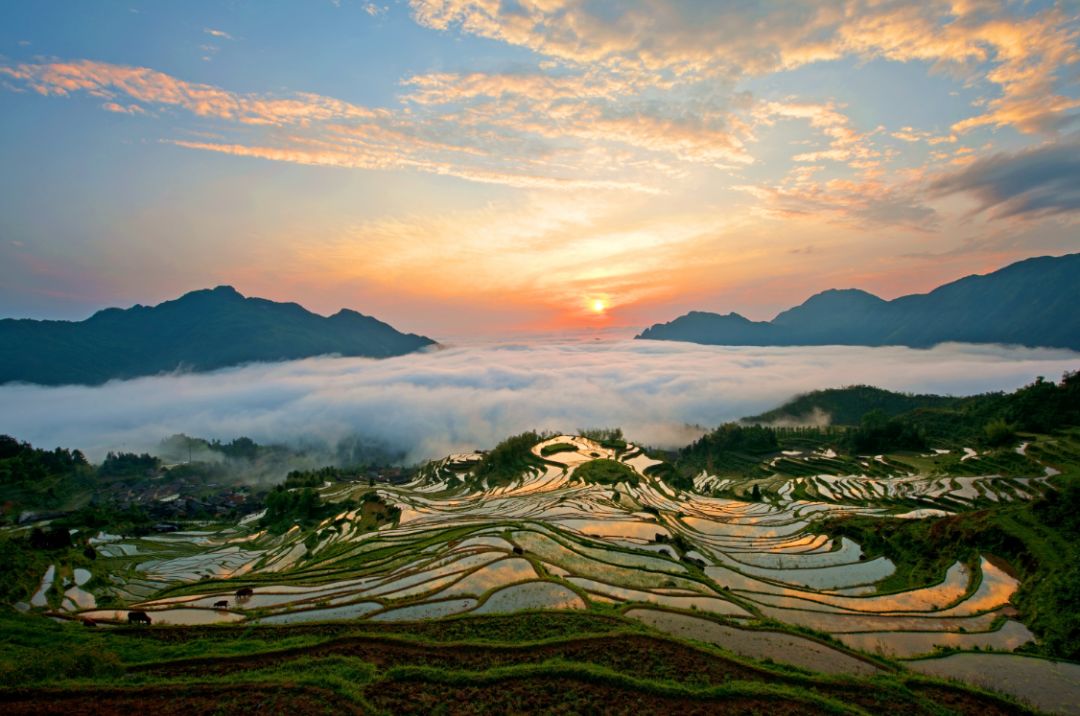 适合看星空露营的地方 (高山露营地绝美的星空)