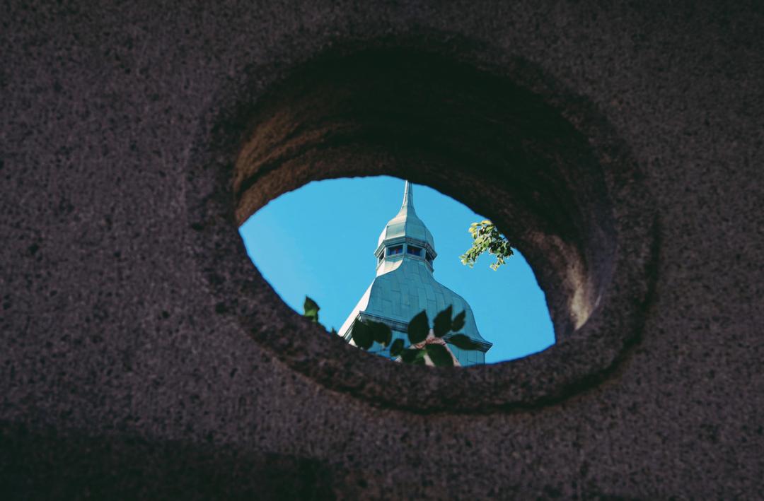 海滨老城泡桐花 (海滨老城紫色泡桐花)
