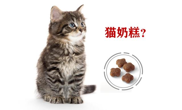 一个月的小猫可以吃羊奶泡奶糕吗,两个月小奶猫吃什么零食
