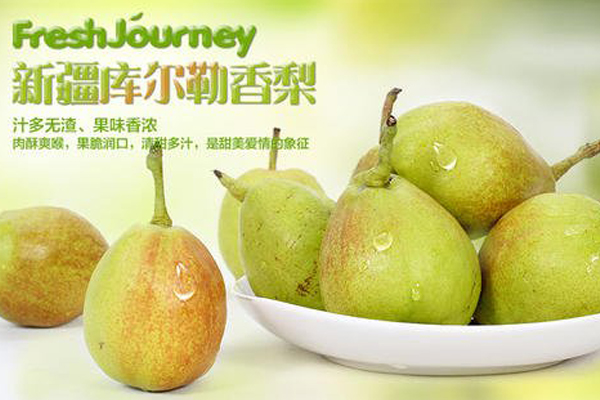 真假库尔勒香梨图片对比,库尔勒香梨树苗真假辨别