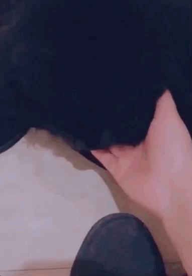 养狗真实感受图片,养狗黑的好还是黄色的好