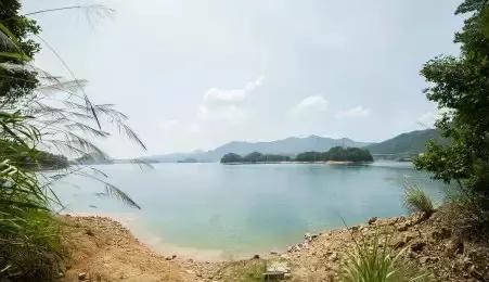 吴晓波成就经历简介,吴晓波怎么发展起来的