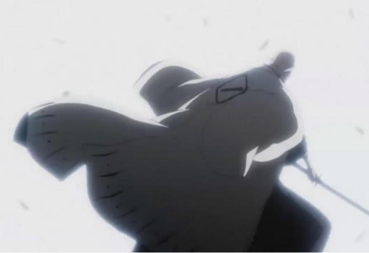 银的斩魄刀和乱菊的斩魄刀,死神斩魄刀有几种